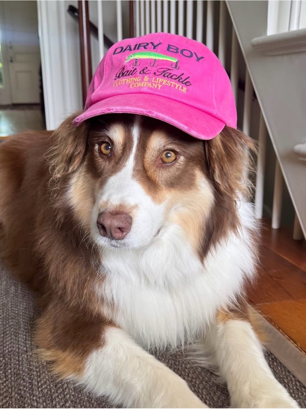 Fruit & Tackle Pink 'Dairy Boy' Pet Cap